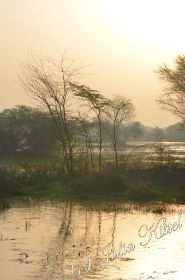 Bharatpur National Park 01 kmn.jpg