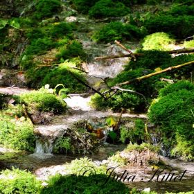 Wolfsbronn, Steinerne Rinne 02 kmnW.jpg
