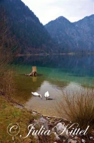 2015-03-21 Salzkammergut, Mondsee 01 kmnw.jpg