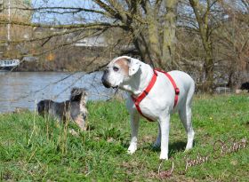 DSC_0495.JPG