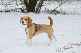 DSC_0574.JPG