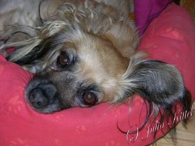Sugar 04.jpg