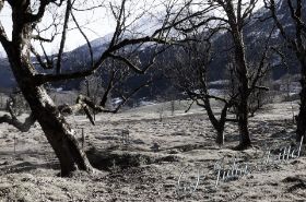 Hintersee 1 mn.jpg